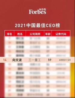 向文波入选2021中国最佳CEO榜